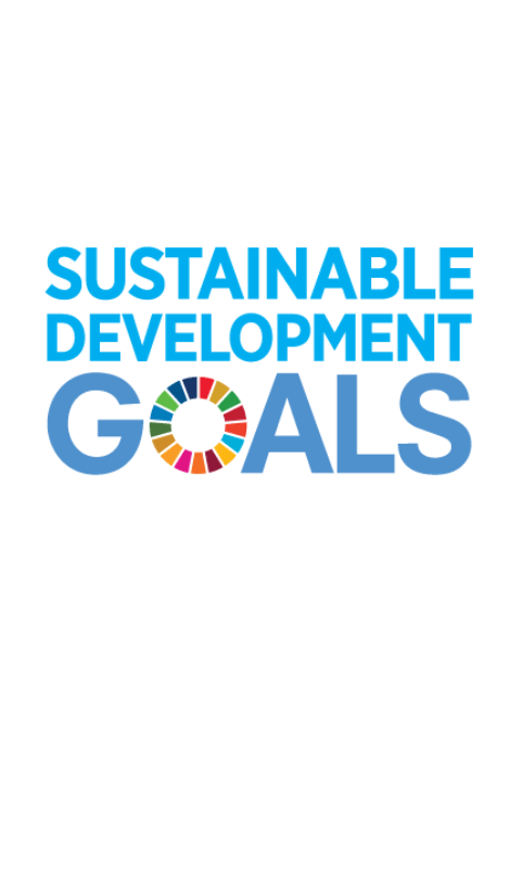 UN sustainable development goals