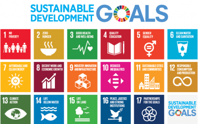 What are the Sustainable Development Goals (SDGs) and Why are They Important?